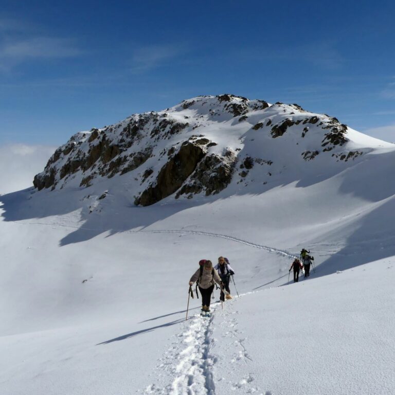 25-03-231 Etendard-les rochers du Genepy