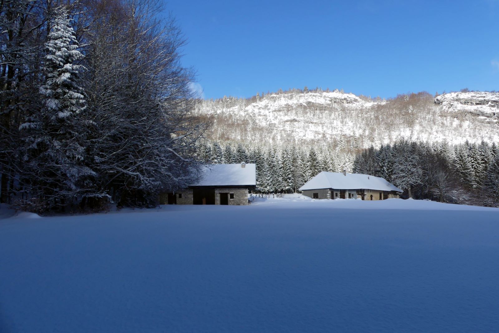 Raquettes en Bauges-Club Alpin Ouest Lyonnais-granges de Montorset
