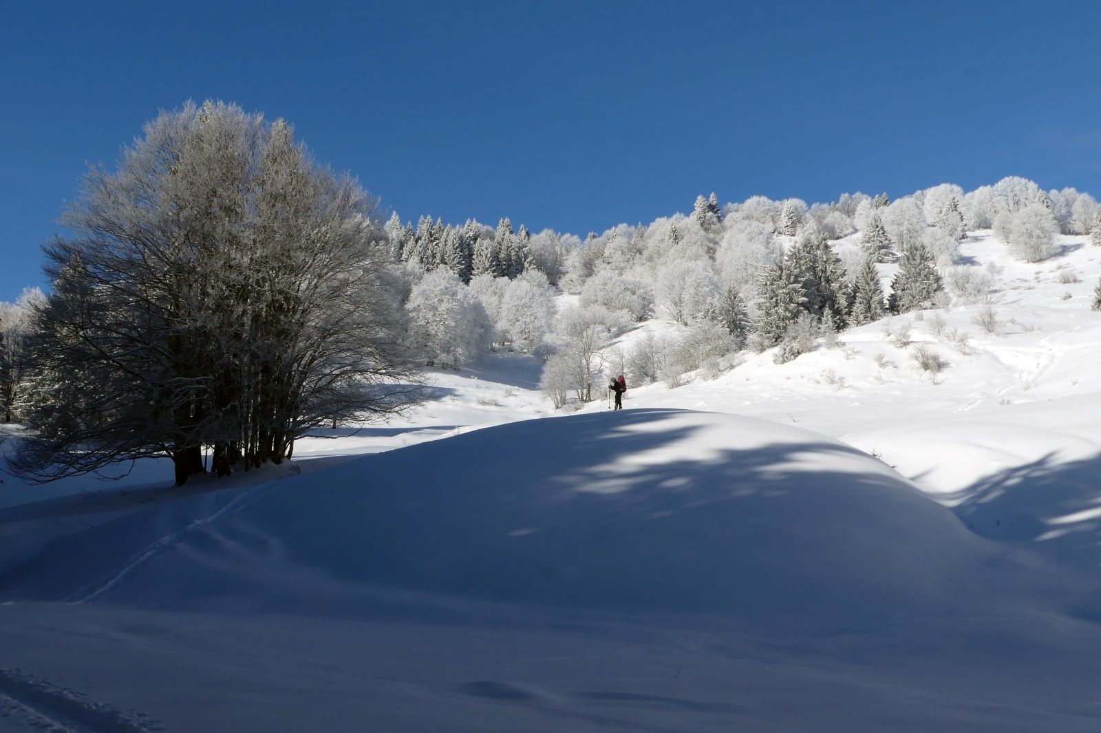 Raquette en Bauges- Club Alpin Ouest Lyonnais-au pied du creux de Lachat