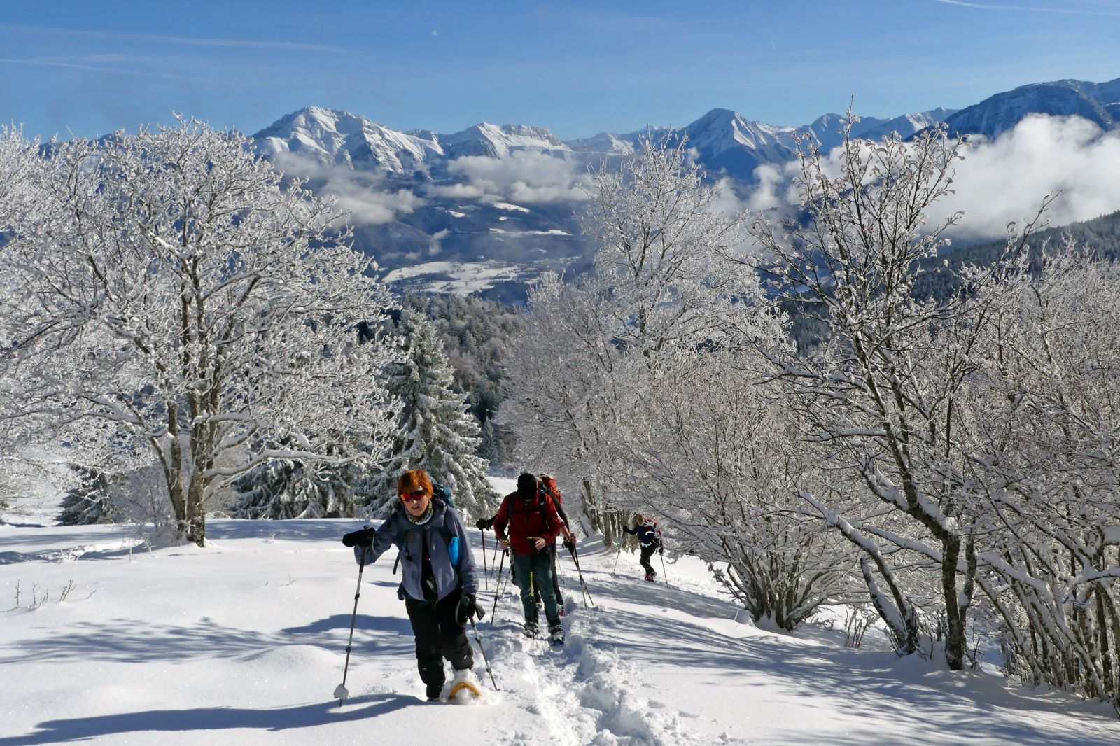 Raquettes en Bauges-Club alpin Ouest Lyonnais--montée au creux de Lachat
