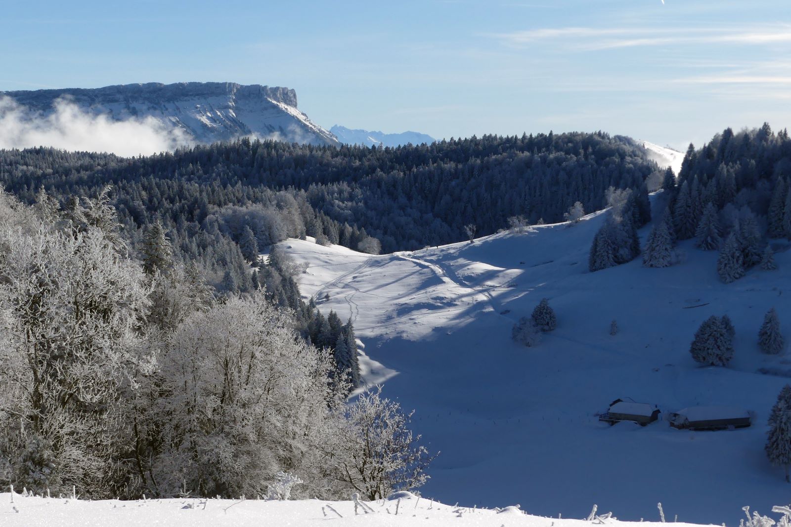 Raquette en Bauges- Nivolet et Creux de Lachat- Club alpin Ouest Lyonnais