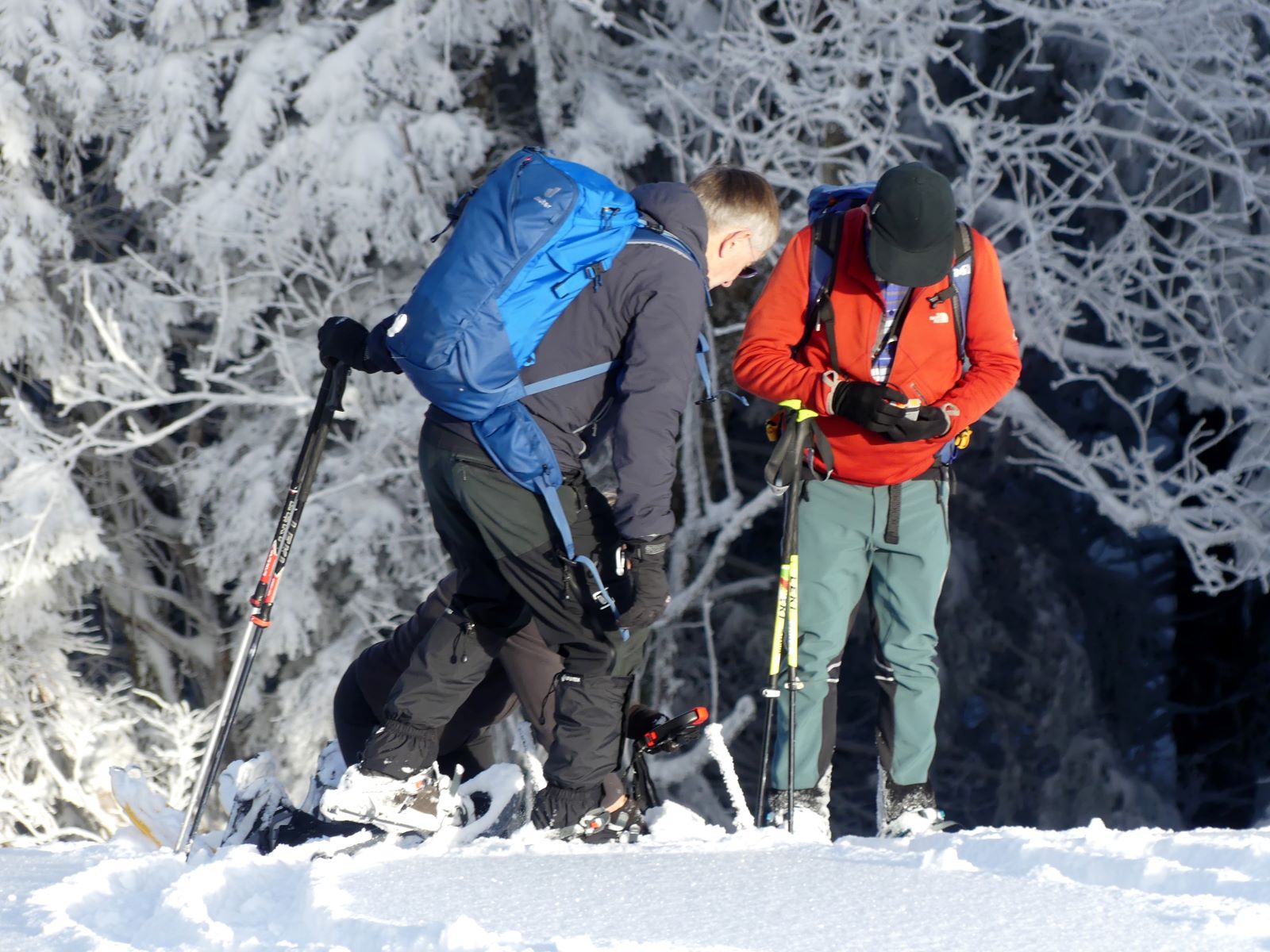 Raquette en Bauges- exercice secours- Club alpin Ouest Lyonnais