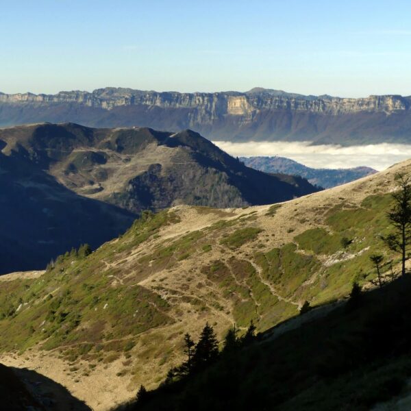 le massif de la Chartreuse depuis le col de Perche