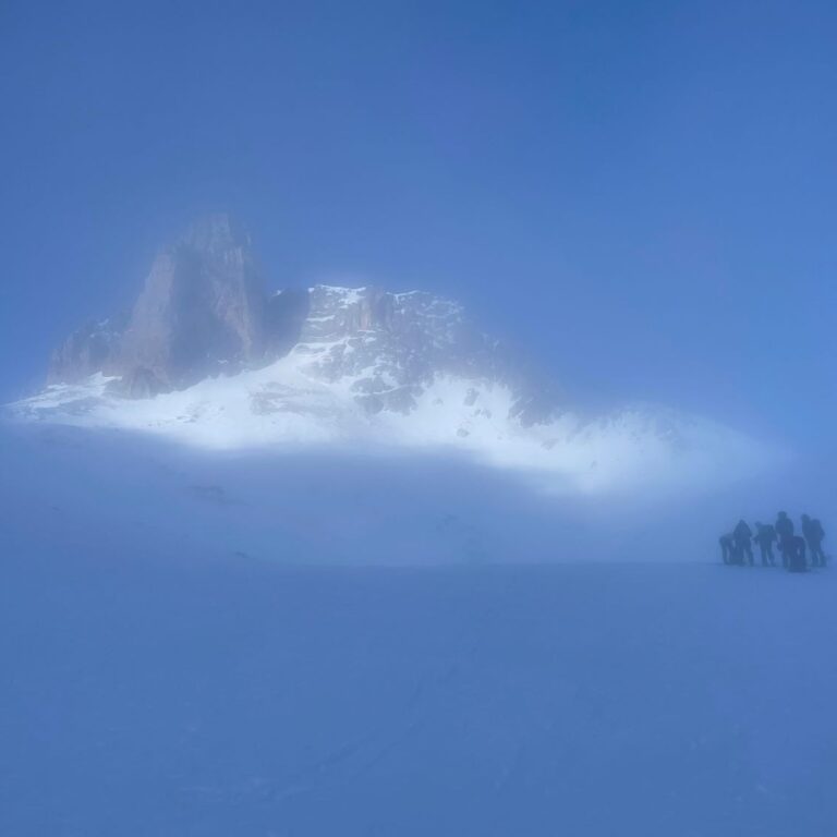 Cheval blanc dans la brume matinale Cheval-blanc-dans-la-brume-matinale