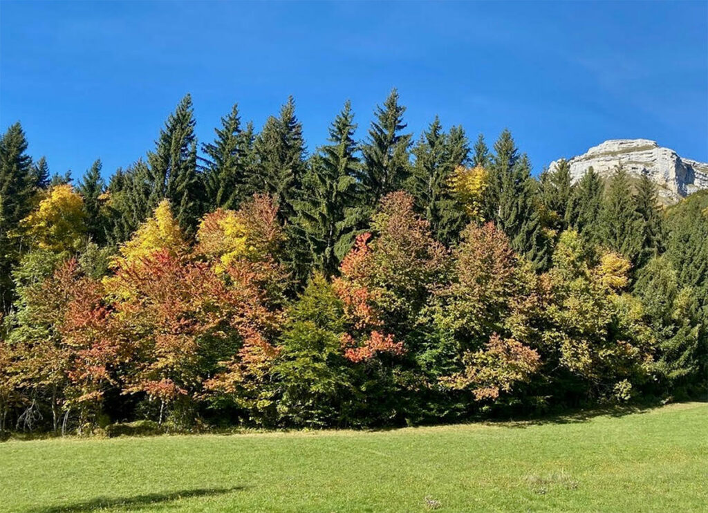 Mont Margeriaz par le Golet de l’Agneau