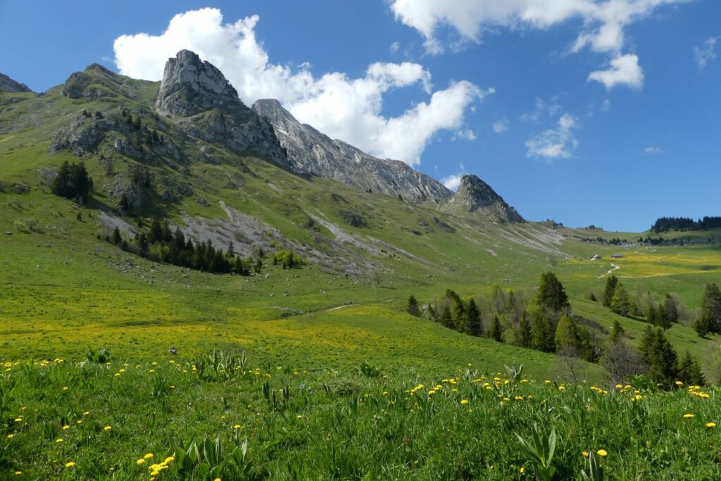 Randonnée pédestre-Beauges-Chaurionde-Alpages d'Orgeval-Club alpin ouest Lyonnais