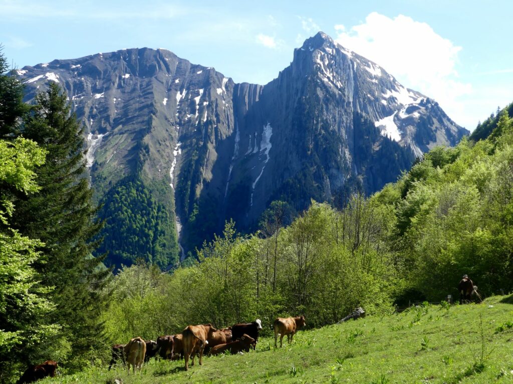 Randonnée pédestre-Beauges-Chaurionde- Pecloz et Armenazl-Club alpin ouest Lyonnais