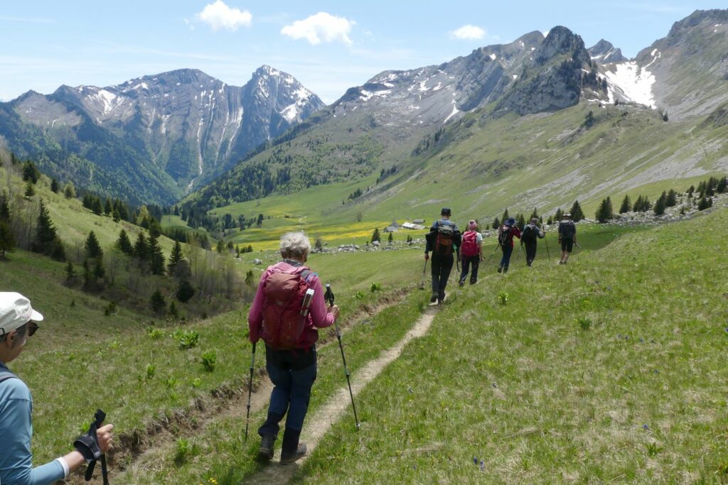 Randonnée pédestre-Beauges-Chaurionde- arrivée aux chalets d'Orgeval-Club alpin ouest Lyonnais