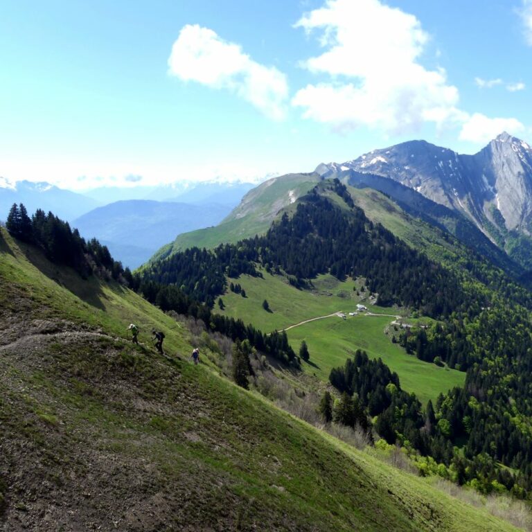 Randonnée pédestre-Beauges-Chaurionde- regard en arrière en montant au col du Drison-Club alpin ouest Lyonnais