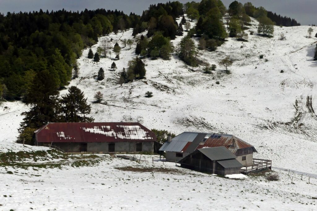 Randonnée pédestre-Beauges-chalets du creux de Lachat-Club alpin ouest Lyonnais-mai 20262