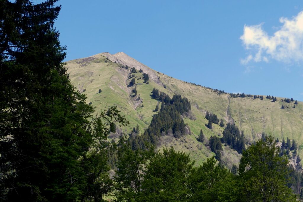 Randonnée pédestre-Beauges- pointe de Chaurionde- Le sommet au sortir de la forêt-Club alpin ouest Lyonnais