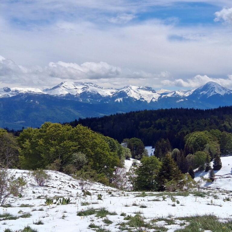 Vue sur les sommets des Bauges depuis la Culaz