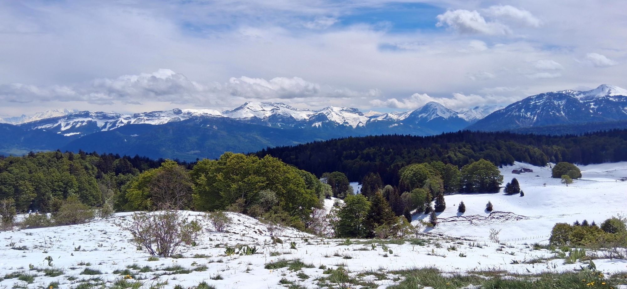 Vue sur les sommets des Bauges depuis la Culaz