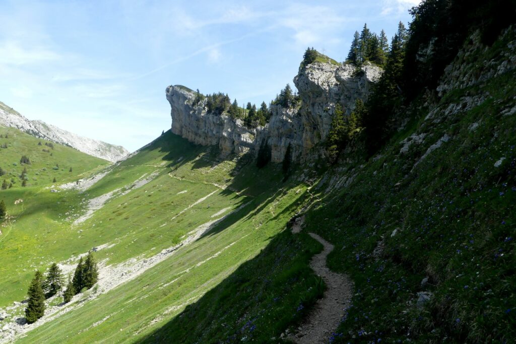 Randonnée pédestre-Vercors-Chemin en balcon au pied des Rochers d'Hurtière-Club Alpin Ouest Lyonnais Randonnée pédestre- massif de la Chartreuse-Grande Sure-Club Alpin Ouest Lyonnais-rochers d'Hurtières