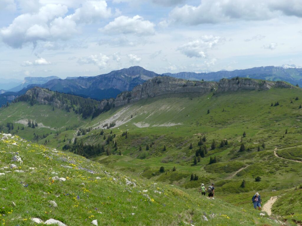 Randonnée pédestre-Vercors-En montant à la Grande Sure-vue sur le Mollard de Grande Vache et le Grand Som derrière -Club Alpin Ouest Lyonnais Randonnee-pedestre-Vercors-Au-sommet-de-la-Grande-Sure-avec-Chamechaude-en-arriere-plan-Club-Alpin-Ouest-Lyonnais