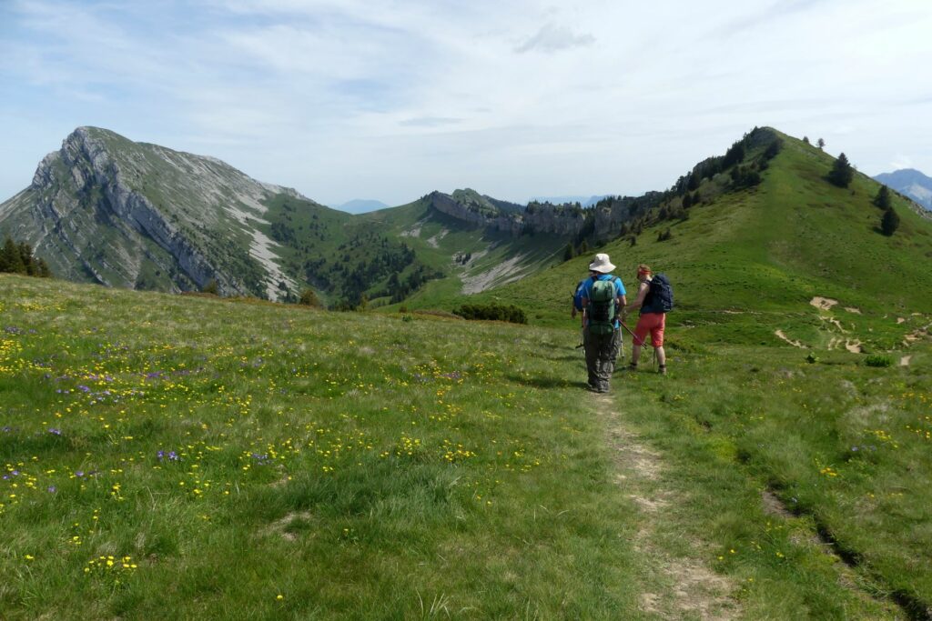 Randonnée pédestre-Vercors-Grande Sure Mollard de la Chaleur et rochers d'Hurtière depuis le Col d'Hurtière-Club Alpin Ouest Lyonnais Randonnée pédestre- massif de la Chartreuse-Grande Sure-Club Alpin Ouest Lyonnais-Col d'Hurtières