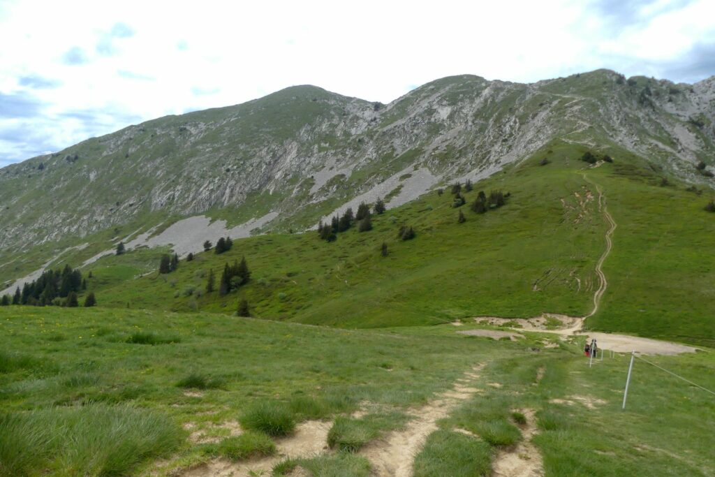 Randonnée pédestre-Vercors- sommet de la Grande Sure vu depuis le col de la Sure-Club Alpin Ouest Lyonnais Randonnée pédestre- massif de la Chartreuse-Grande Sure-Club Alpin Ouest Lyonnais-grande sure vue depuis le Col de la Grande Vache