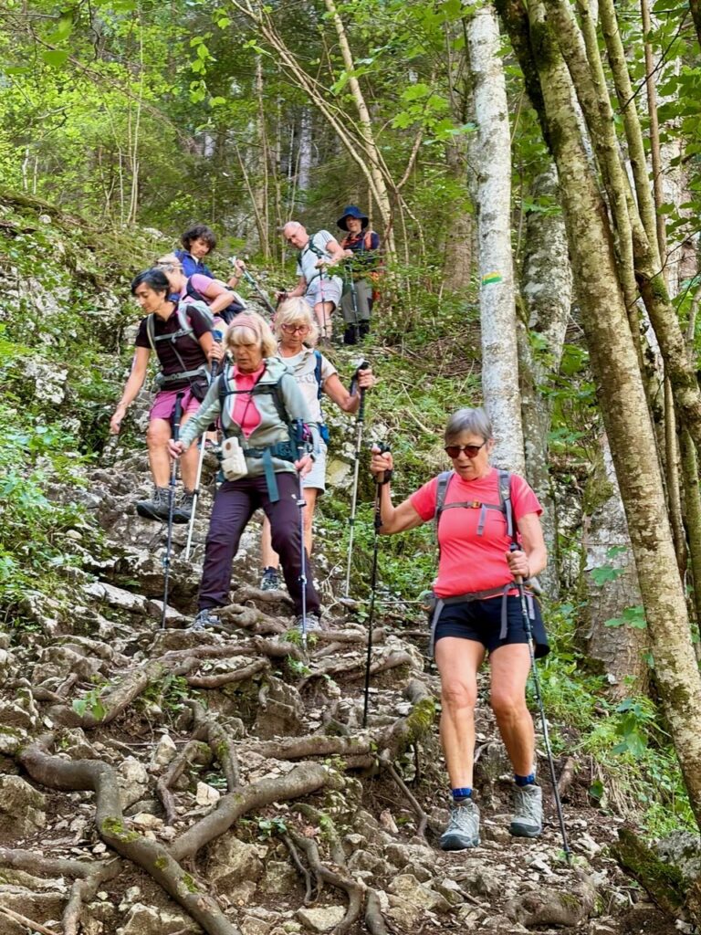 Randonnée pédestre et Yoga- Club Alpin Ouest lyonnais-j3 (02)-29 08 26