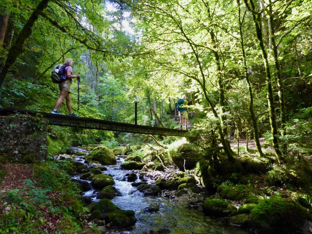 Randonnée pédestre et Yoga- Club Alpin Ouest lyonnais-j3 (04)-29 08 26