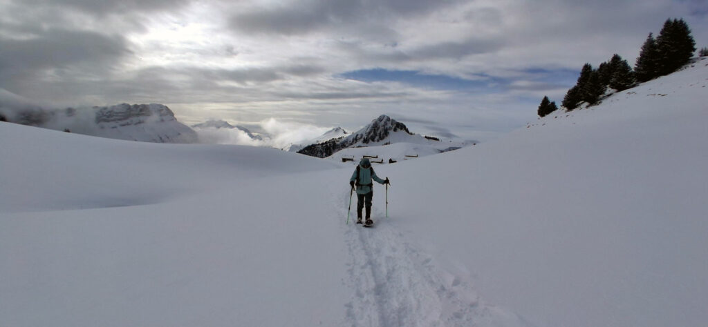 Raquette Glières-Chalets des Auges- derrière pointe de Puvat et pointe de la Queblette-au fond la Tournette- Janvier 2026-Club Alpin Ouest Lyonnais