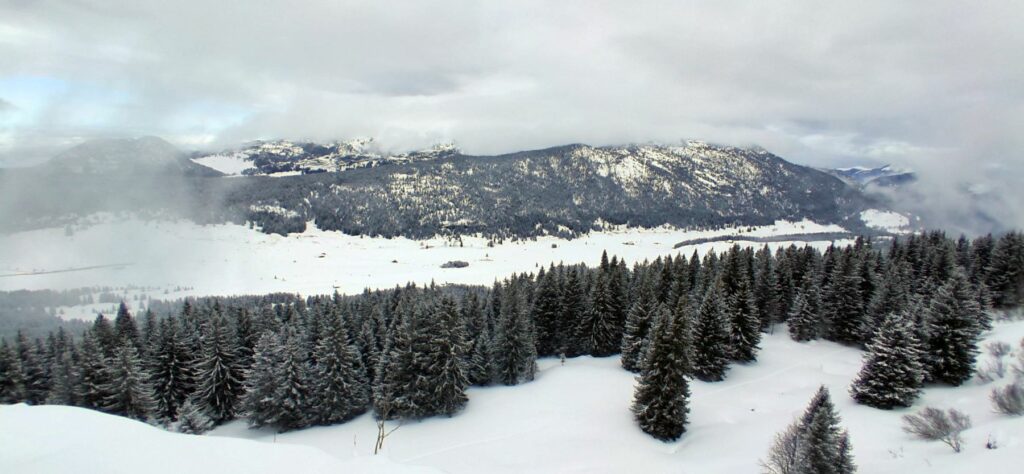 Raquette Glières-crete montagne des Auges-vue sur Plateau des Glières et Montagne des Fretes- Janvier 2026-Club Alpin Ouest Lyonnais