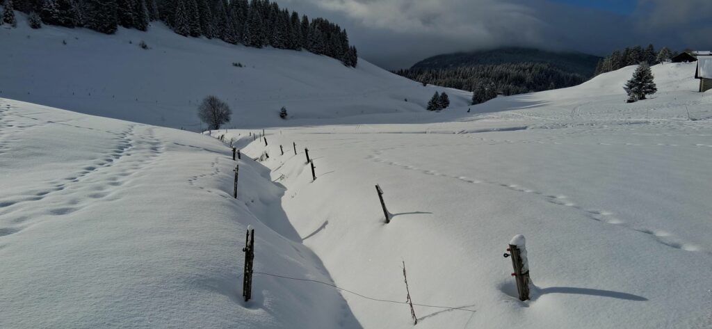 Raquette Glières-prairies du plateau des Glières sous la neige-Janvier 2026-Club Alpin Ouest Lyonnais
