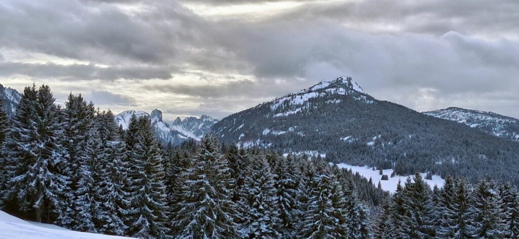 Raquettes dans les Glières