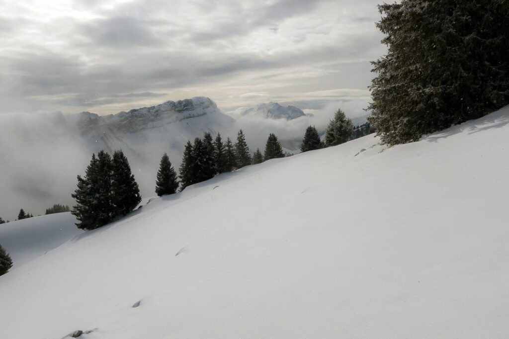 Raquette Glières-vue sur la Tournette- Janvier 2026-Club Alpin Ouest Lyonnais